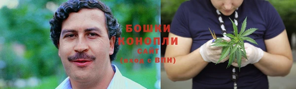 Альфа ПВП Горнозаводск