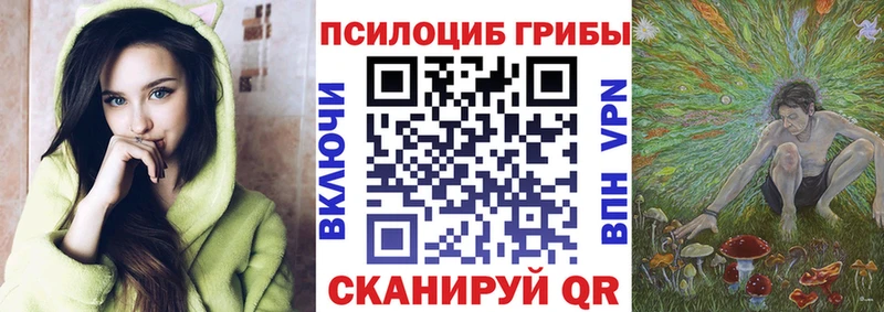 Псилоцибиновые грибы Psilocybine cubensis  Елизаветинская 