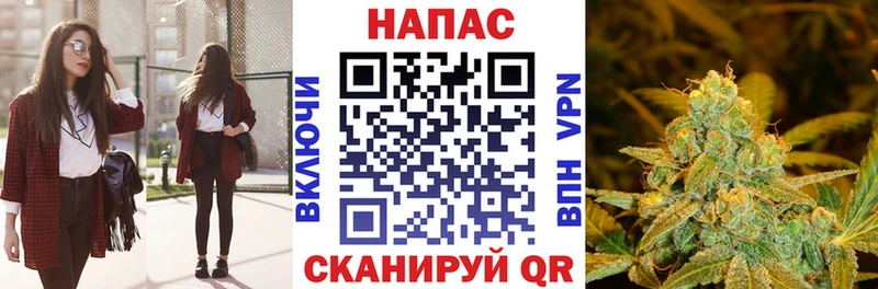 Канабис гибрид  Елизаветинская 